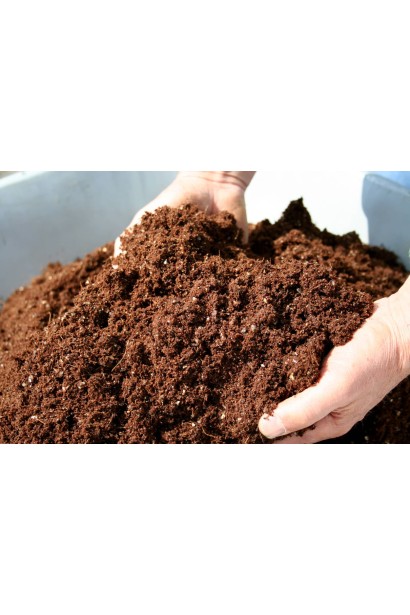 Торф’яний субстрат (кислий) для лохини